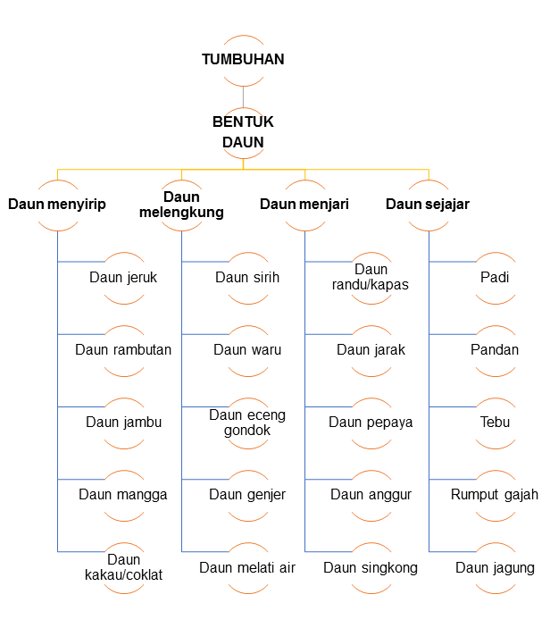 D. KLASIFIKASI TUMBUHAN BERDASARKAN TULANG DAUNNYA