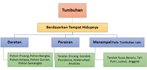 KLASIFIKASI TUMBUHAN BERDASARKAN TEMPAT HIDUP