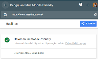 hasil Penilaian VioMagz mobile friendly