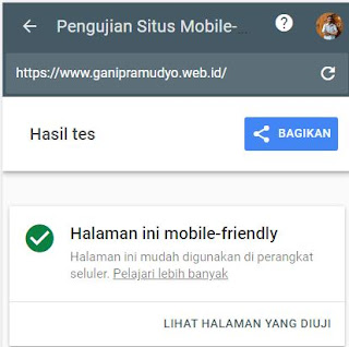 hasil uji mobile friendly ganipramudyo.web.id